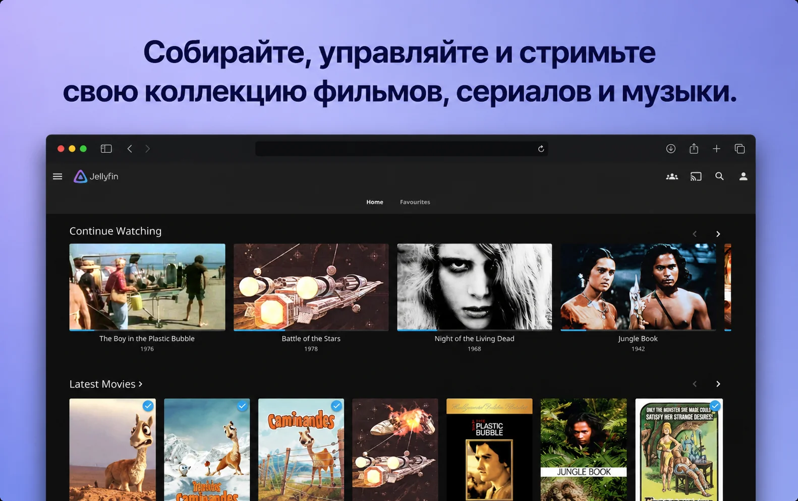 Jellyfin screenshot
